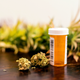 Image for article titled Next-Gen Baggies Are Transforming Legal Weed